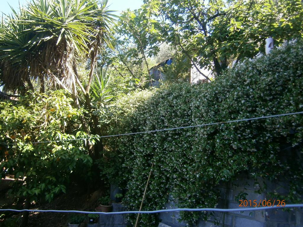 Albergo Il Cantuccio Bolano Exteriör bild